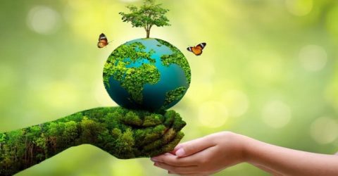 বিশ্ব পরিবেশ দিবস আজ