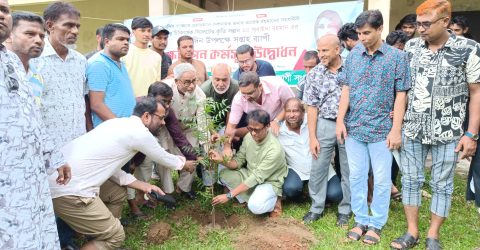 ডা. জোবাইদা রহমান এর জন্মবার্ষিকী উপলক্ষে সিলেটে বৃক্ষরোপণ
