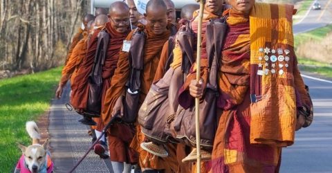 আমেরিকায় বৌদ্ধ ভিক্ষুর শান্তির পদযাত্রায় পথকুকুর আলোকা