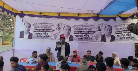 চন্দনাইশে বিএনপির নির্বাচনী প্রচারনায় গণজোয়ার