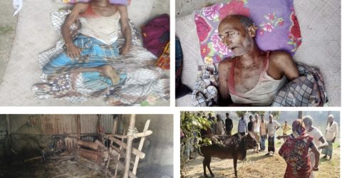 চন্দনাইশে ৩ গরু লুট, ডাকাতের গুলিতে নিহত ১