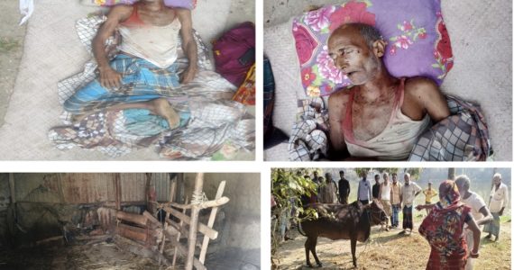 চন্দনাইশে ৩ গরু লুট, ডাকাতের গুলিতে নিহত ১